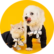 Pet Apparel & Accessories