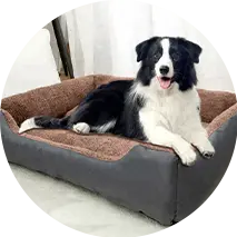 Pet Beds & Furniture